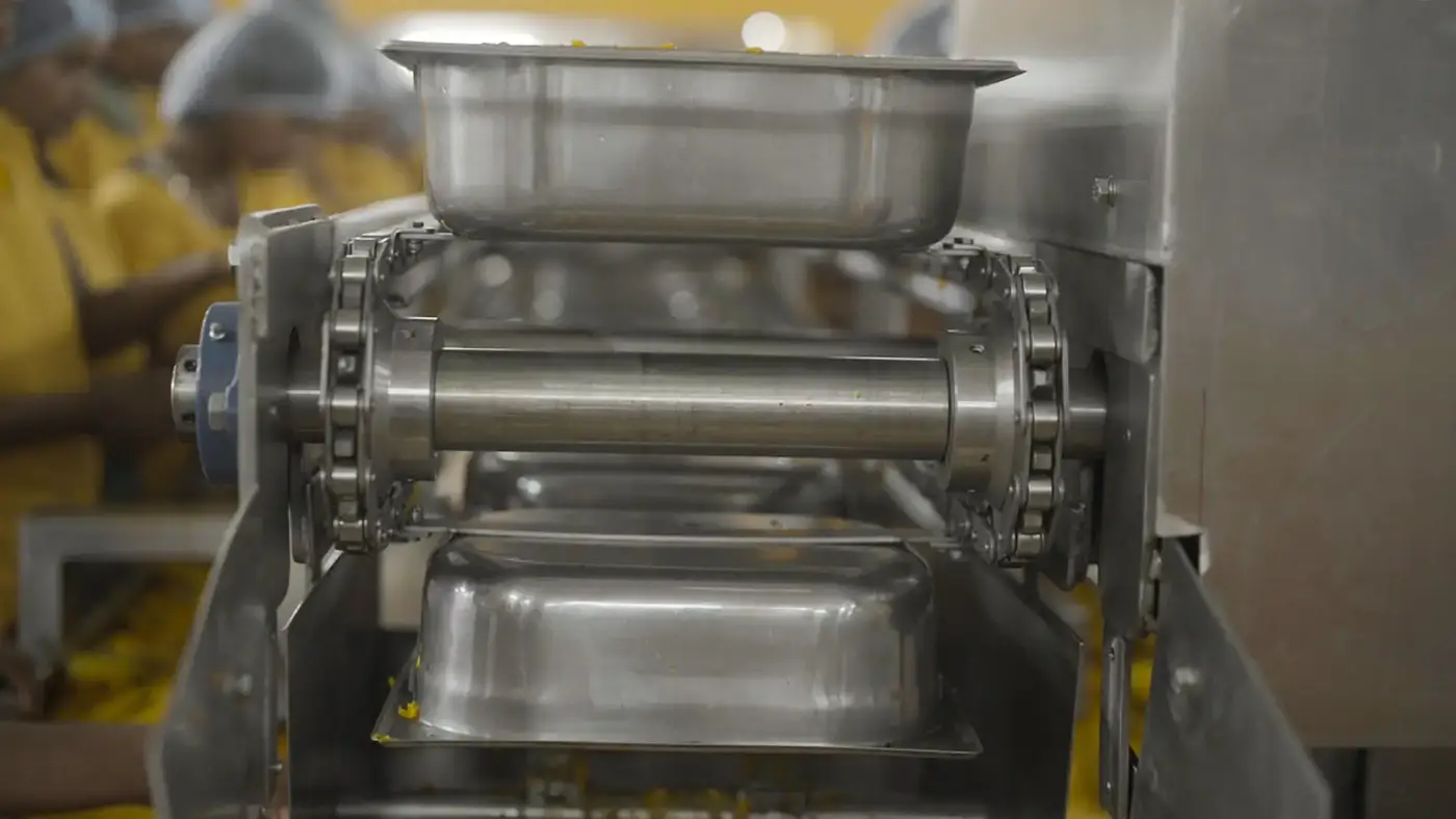 Mango pulping machinery